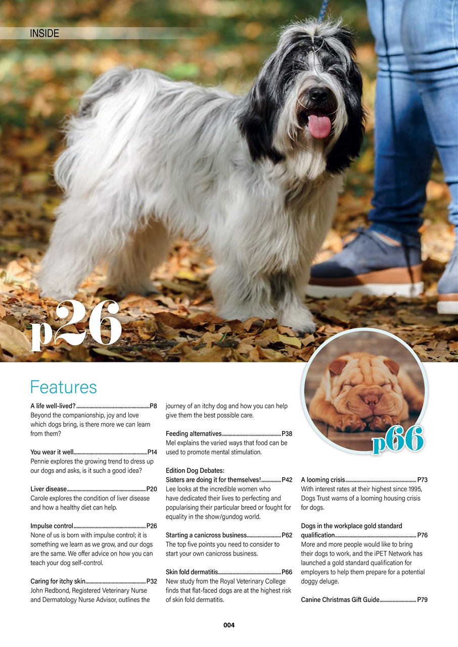 Edition Dog Preview Pages