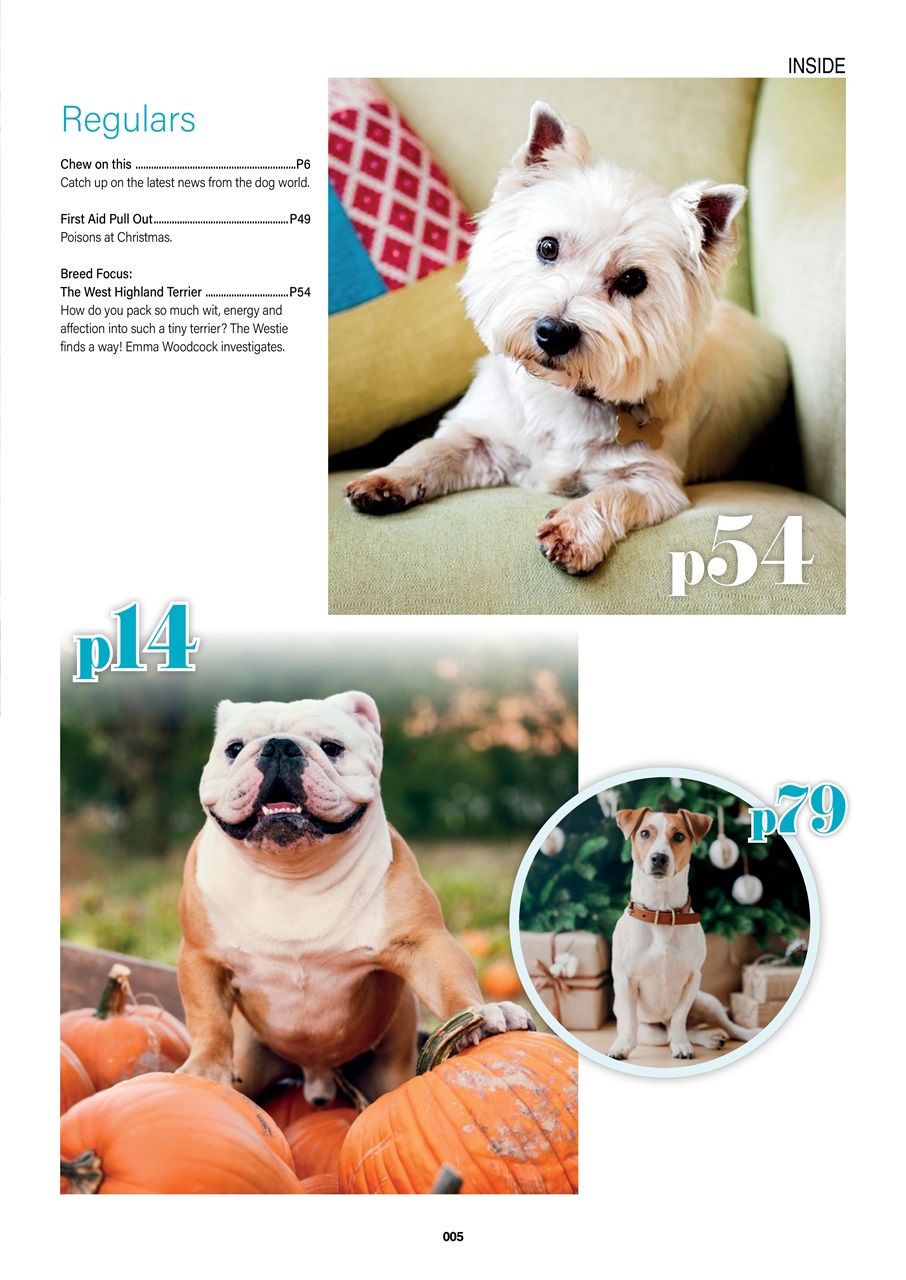 Edition Dog Preview Pages