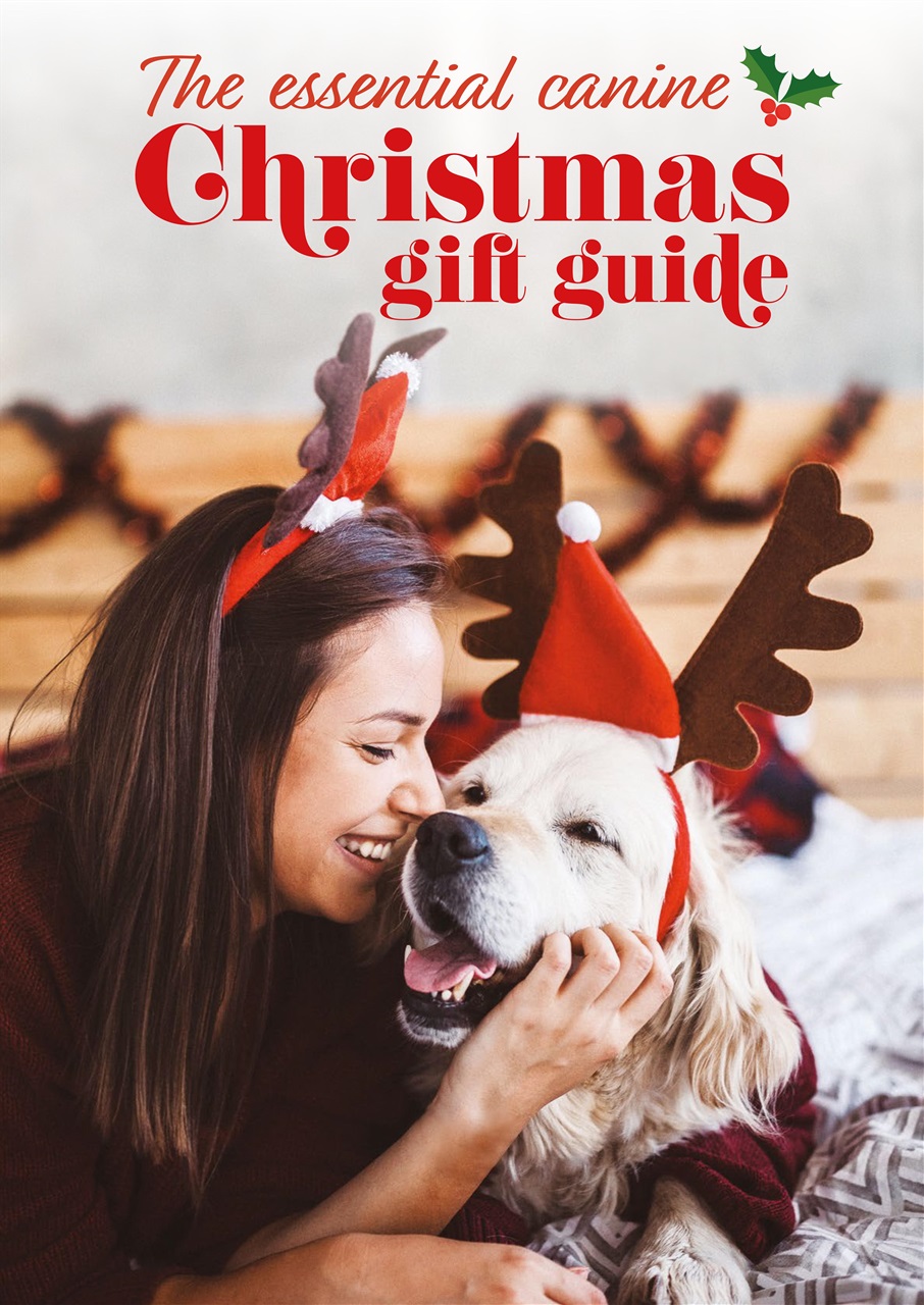 Edition Dog Preview Pages