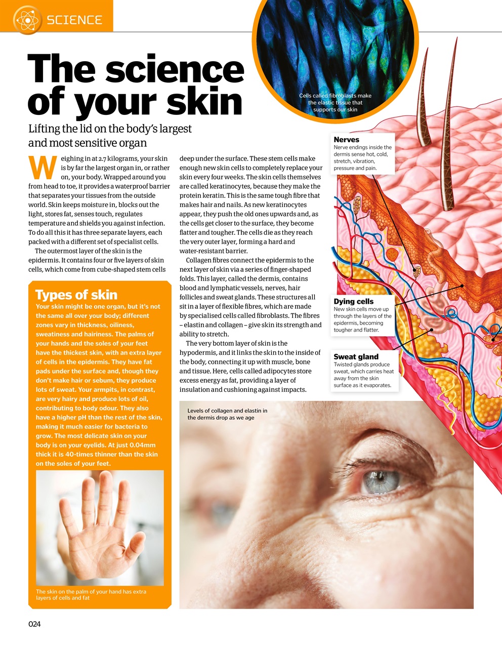 How It Works Bookazine Preview Pages