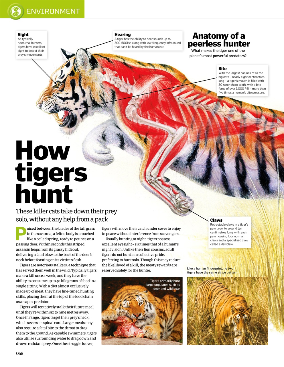 How It Works Bookazine Preview Pages