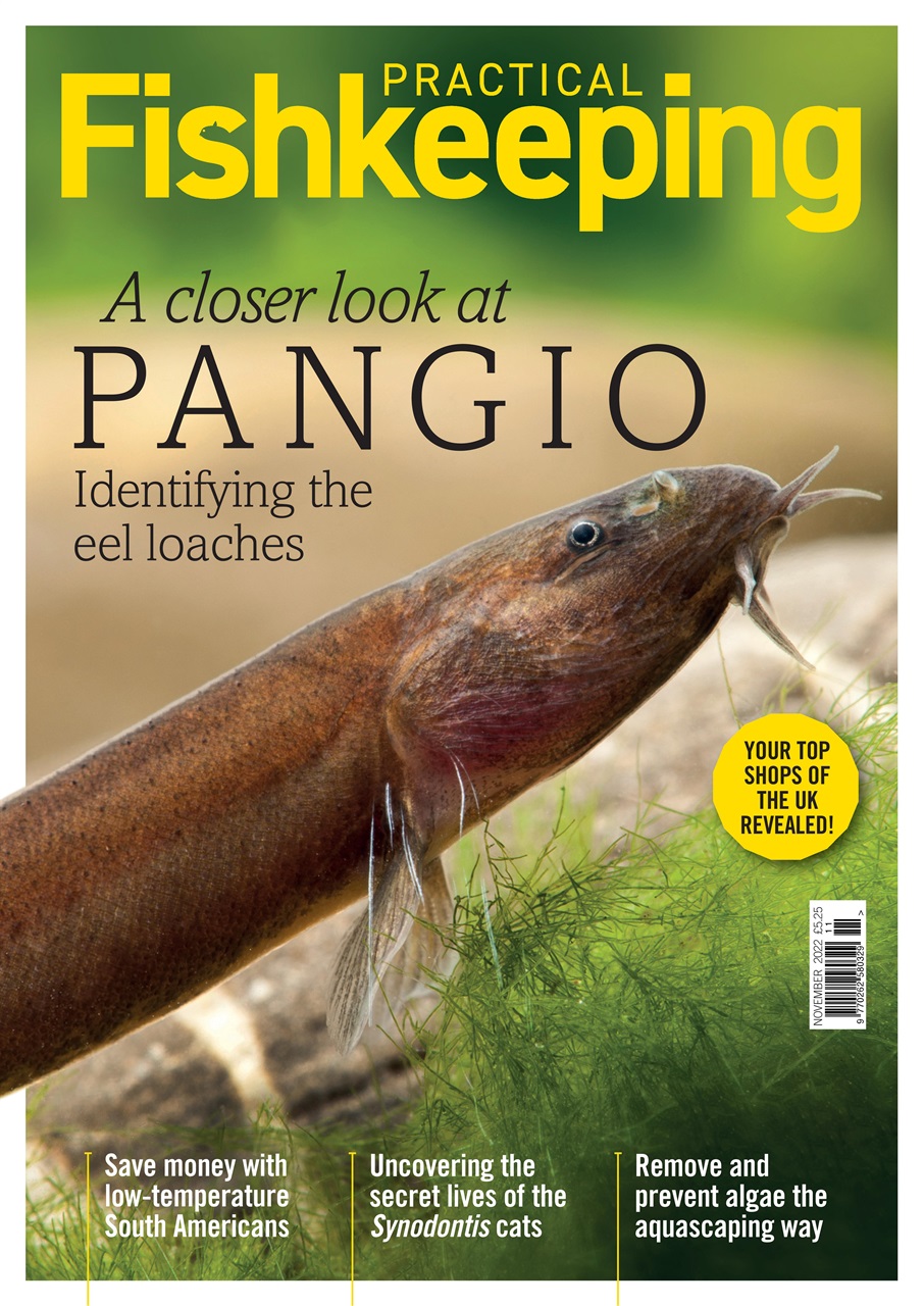 Practical Fishkeeping Preview Pages