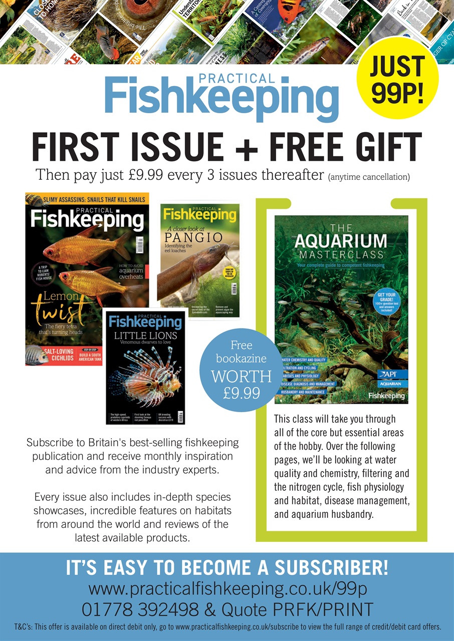 Practical Fishkeeping Preview Pages