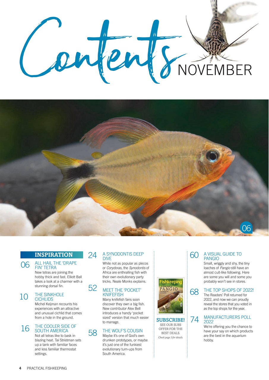 Practical Fishkeeping Preview Pages