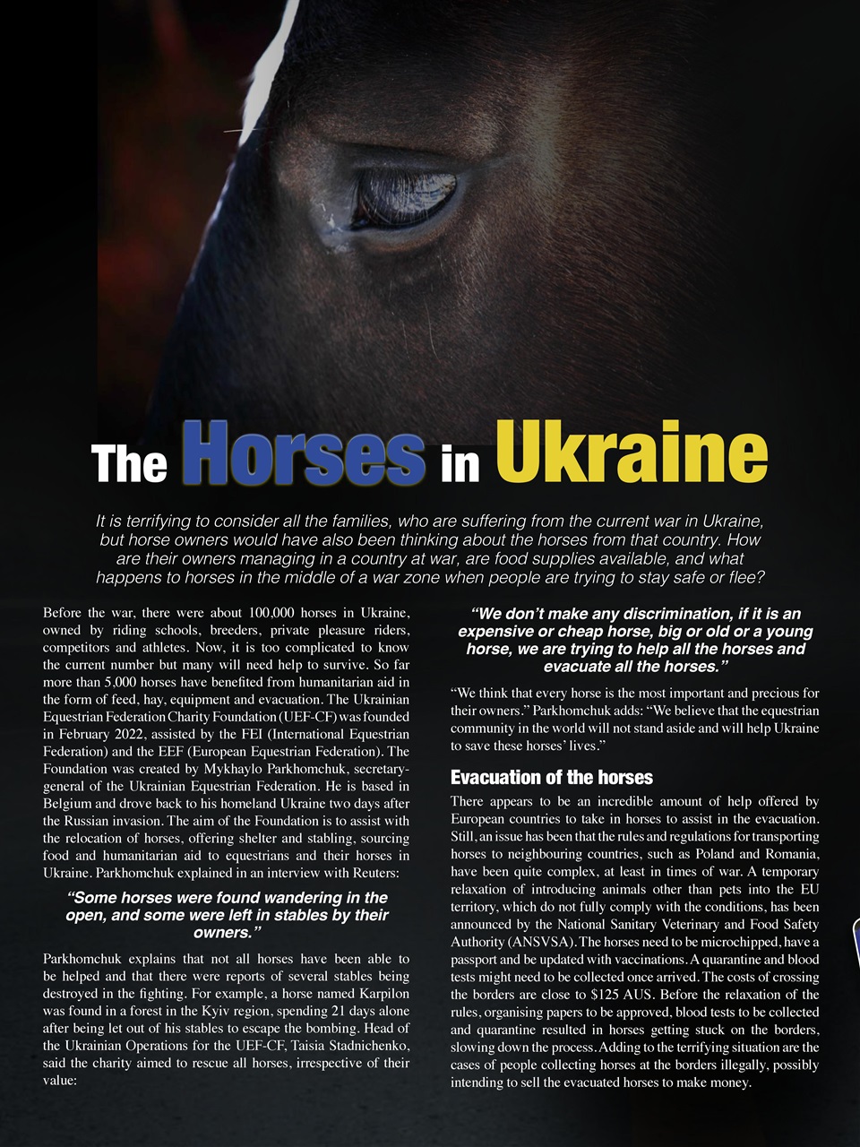 Hoofbeats Preview Pages