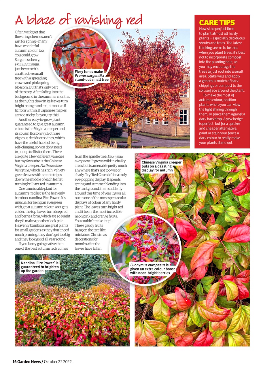 Garden News Preview Pages