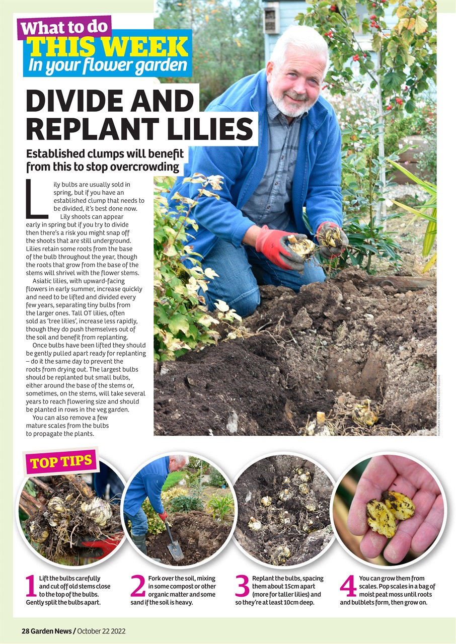 Garden News Preview Pages