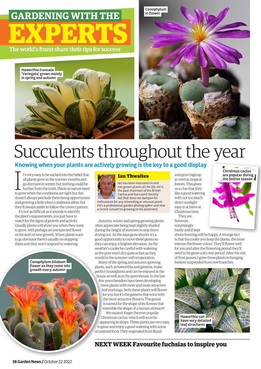 Garden News Preview Pages