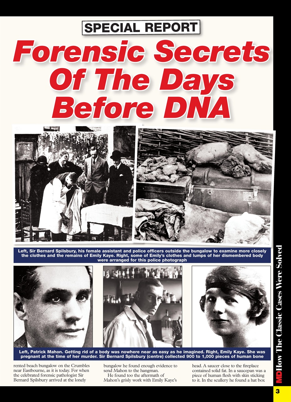 Master Detective Preview Pages