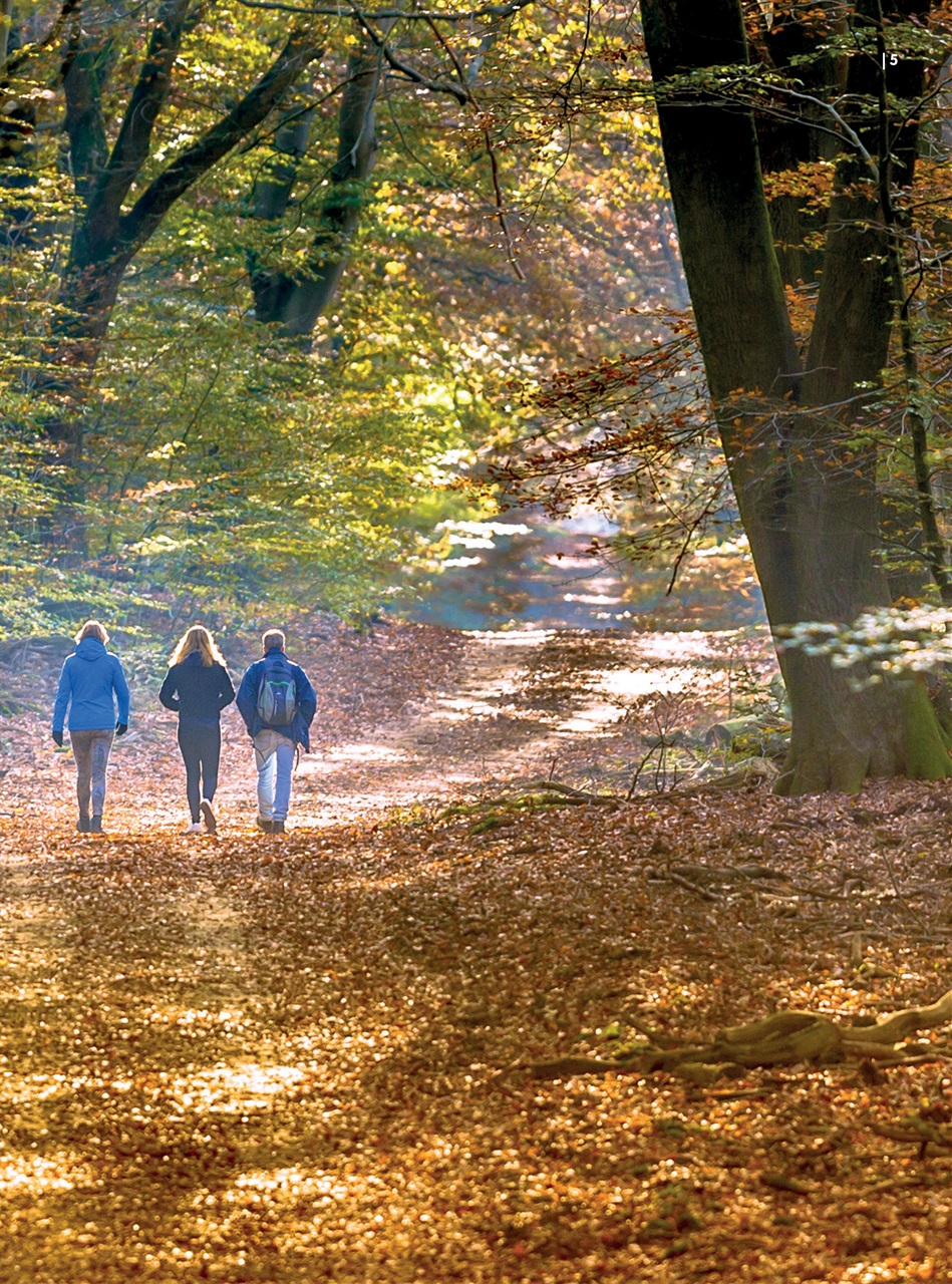 Great Walks Preview Pages