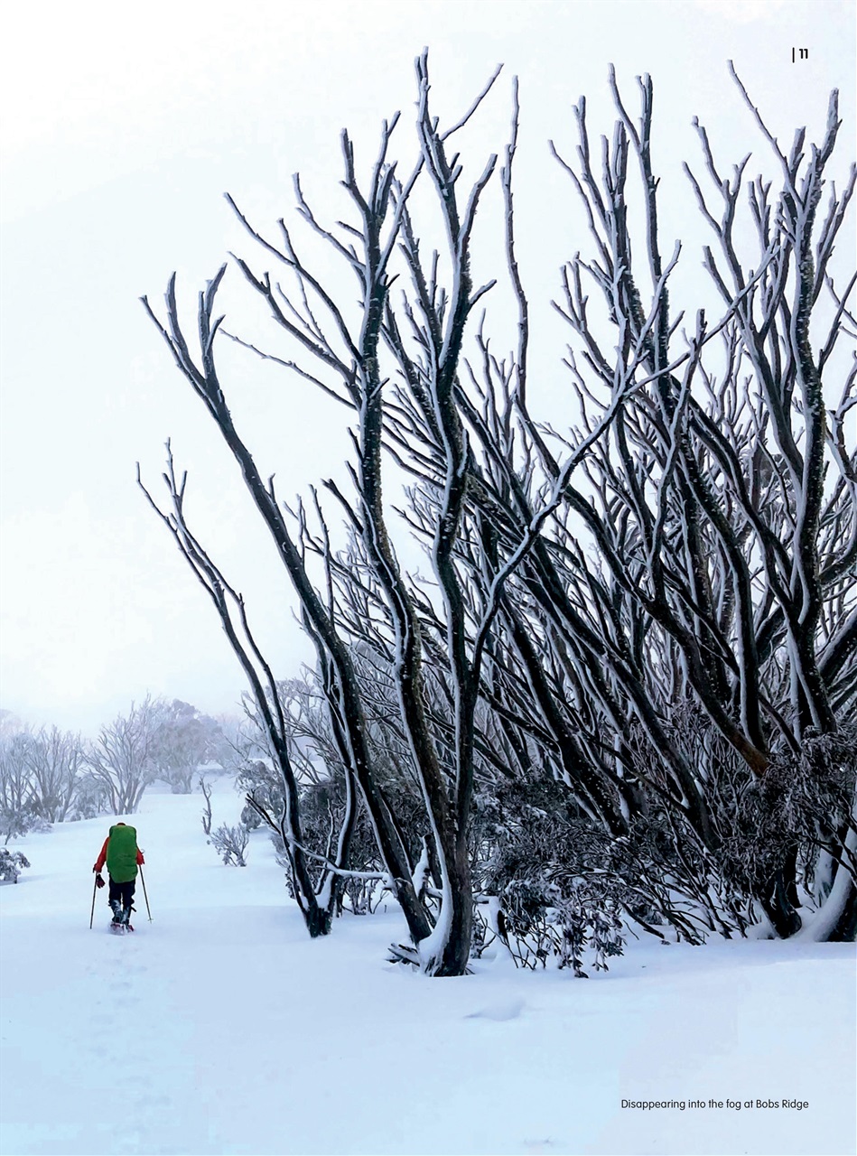 Great Walks Preview Pages