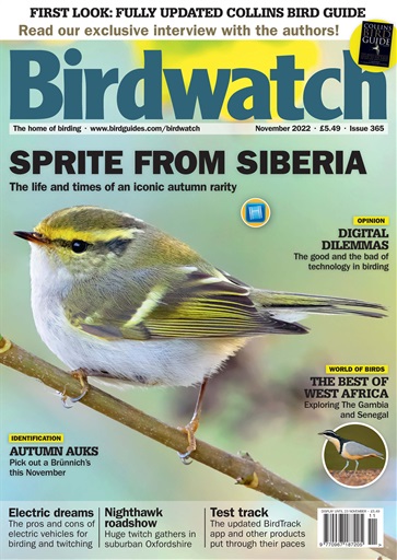 Birdwatch Magazine issue 