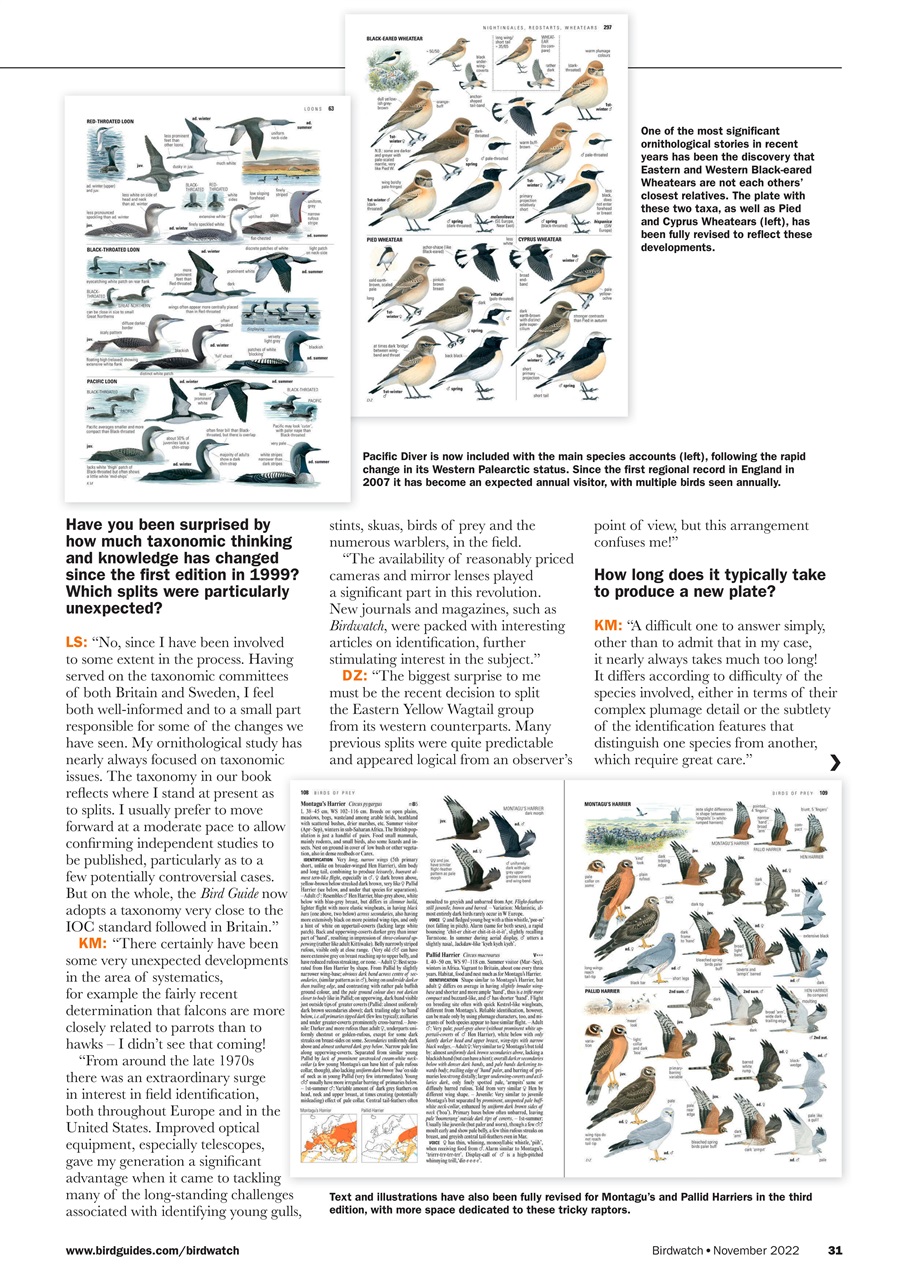 Birdwatch Magazine Preview Pages