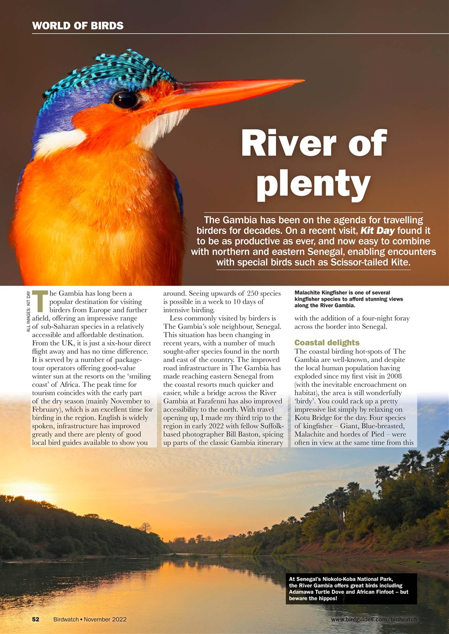 Birdwatch Magazine Preview Pages