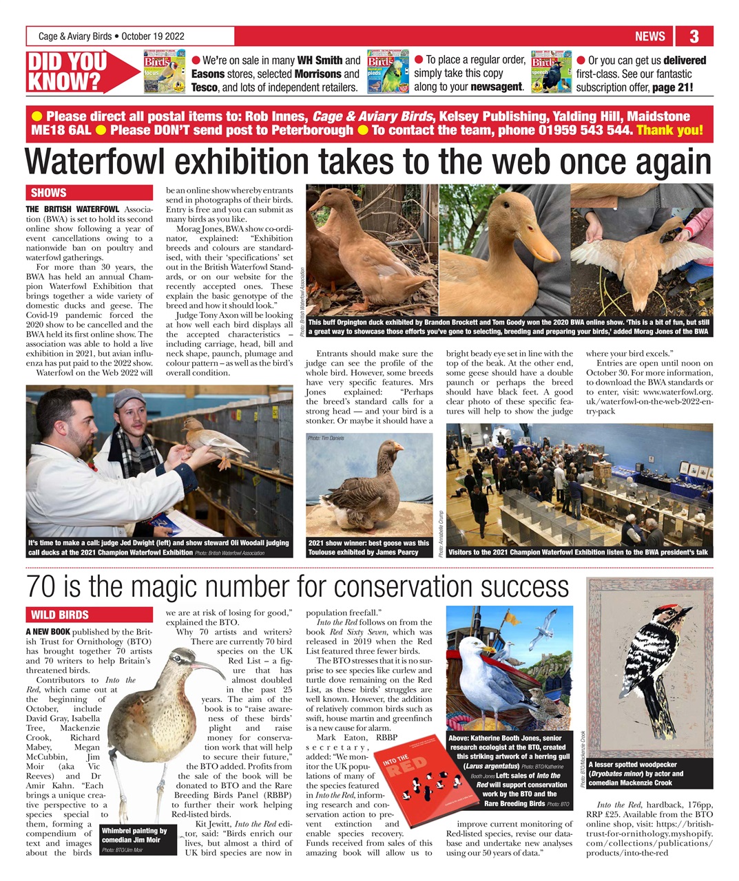 Cage & Aviary Birds Preview Pages