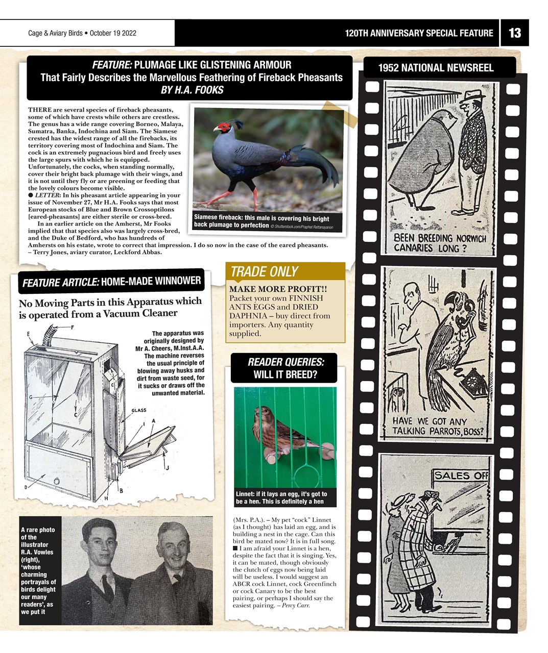 Cage & Aviary Birds Preview Pages