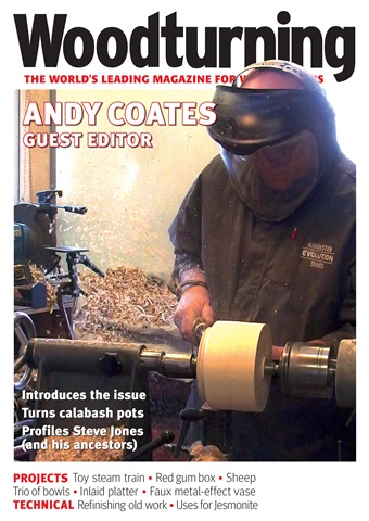 Woodturning issue Issue 376 