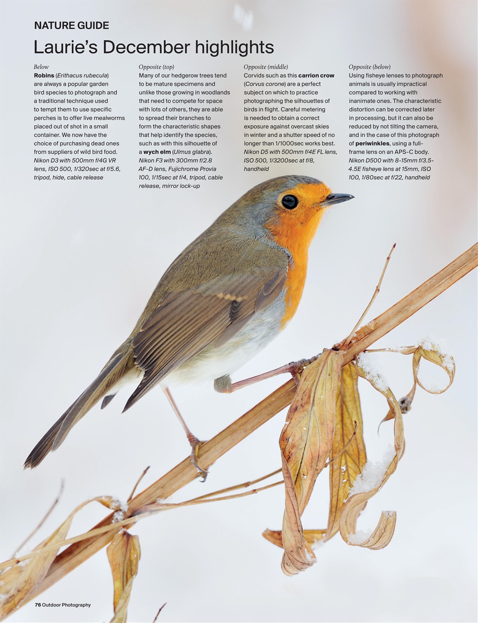 Outdoor Photography Preview Pages