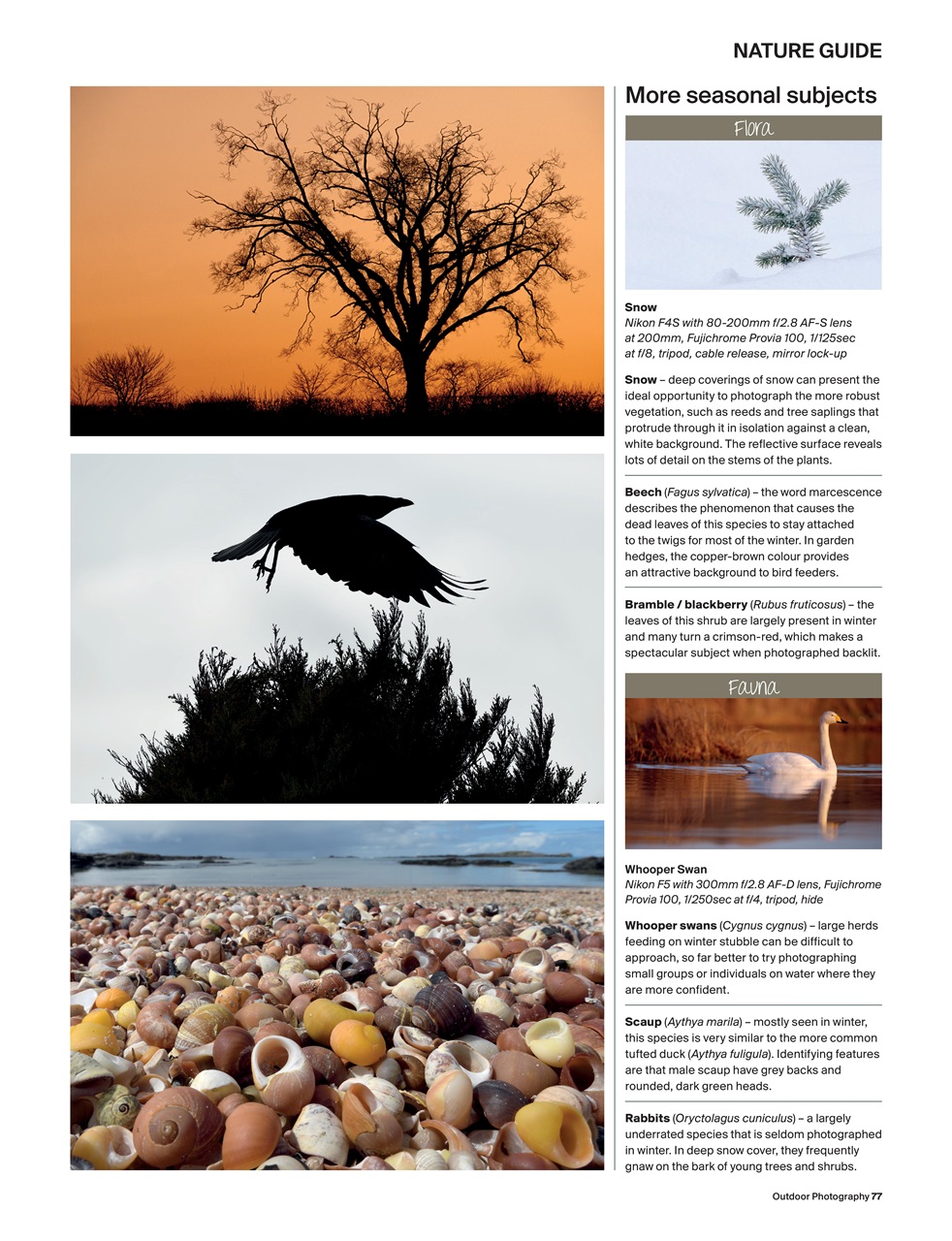 Outdoor Photography Preview Pages