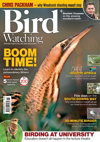 Bird Watching issue Nov-22