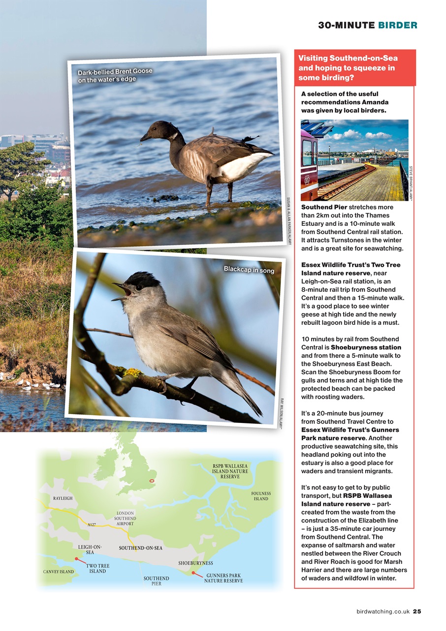 Bird Watching Preview Pages
