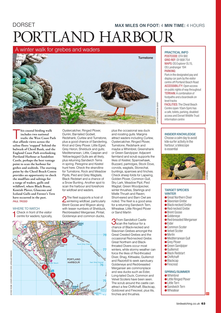 Bird Watching Preview Pages