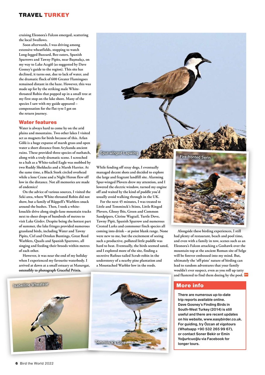 Bird Watching Preview Pages