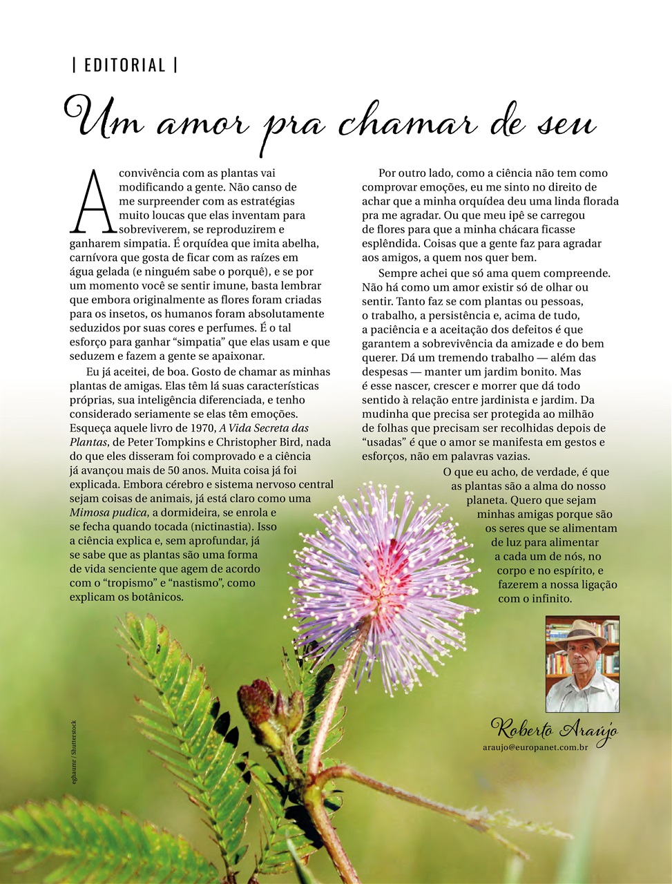 Natureza Preview Pages