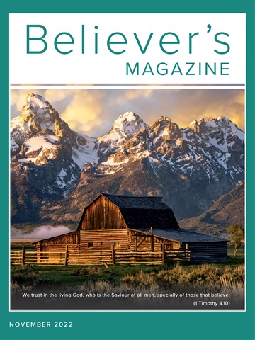 Believer Magazine issue November 2022