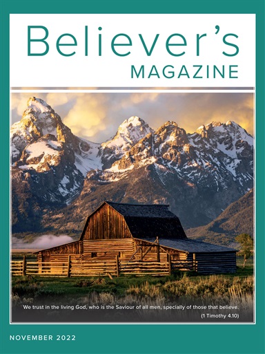 Believer Magazine issue 