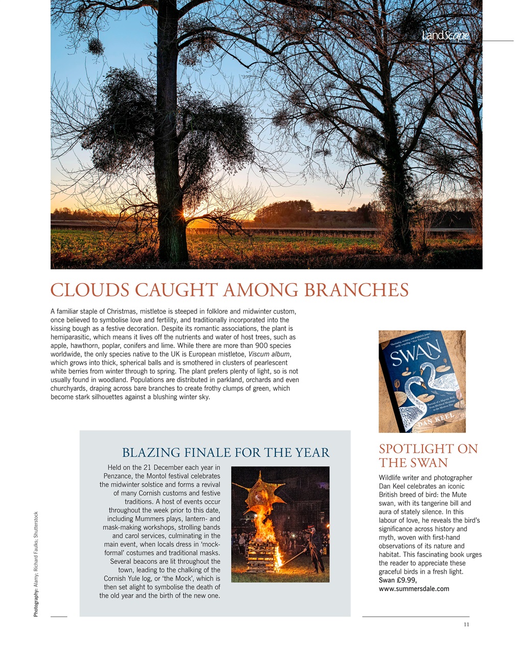 LandScape Preview Pages