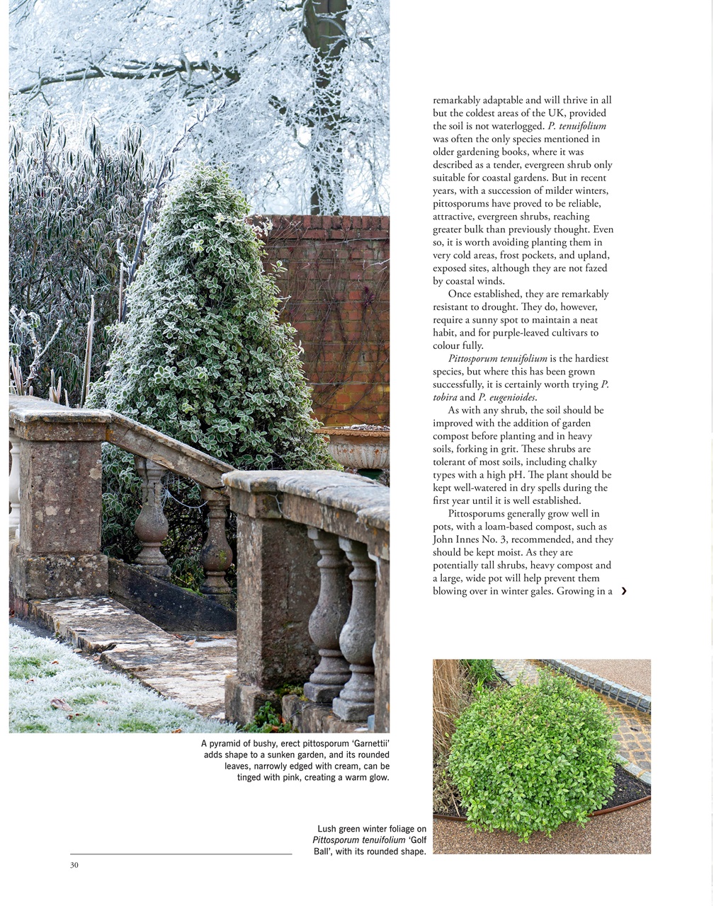 LandScape Preview Pages