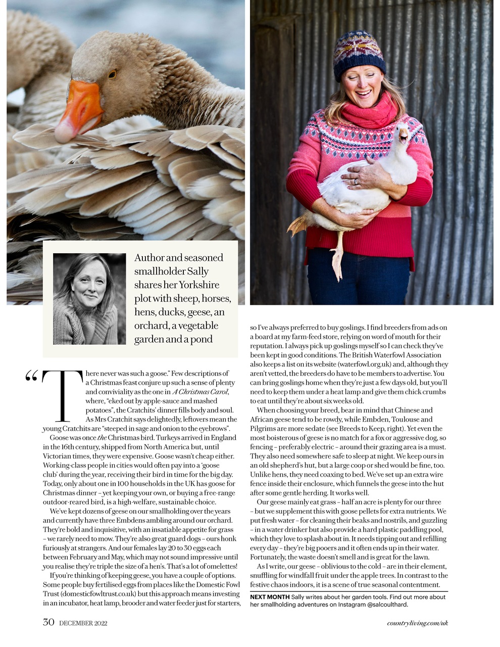 Country Living Preview Pages