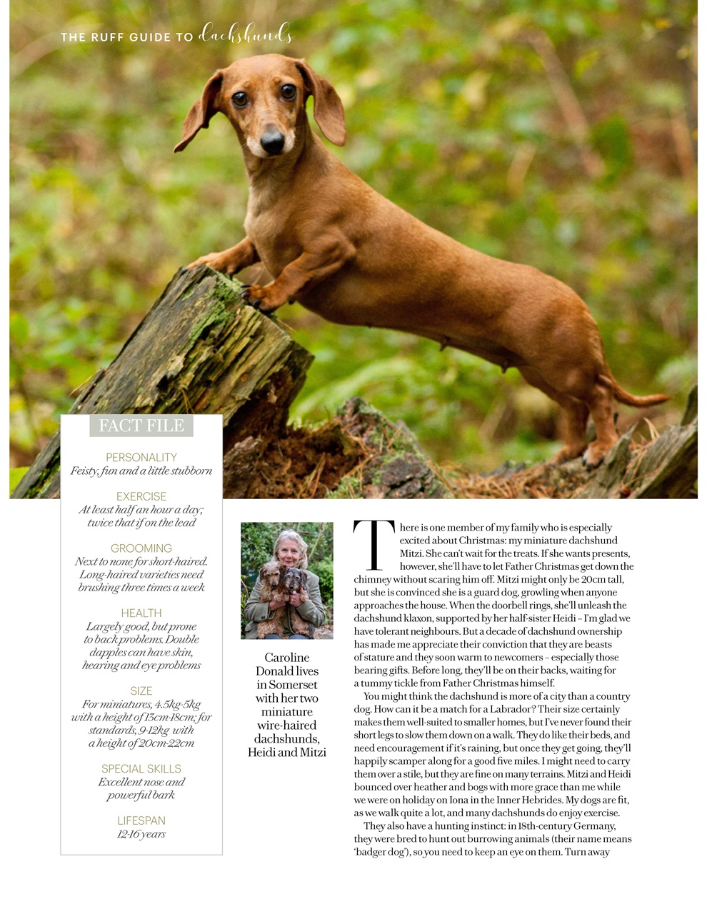 Country Living Preview Pages