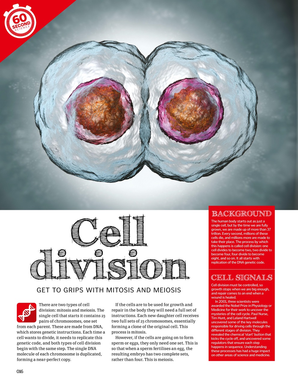 How It Works Bookazine Preview Pages