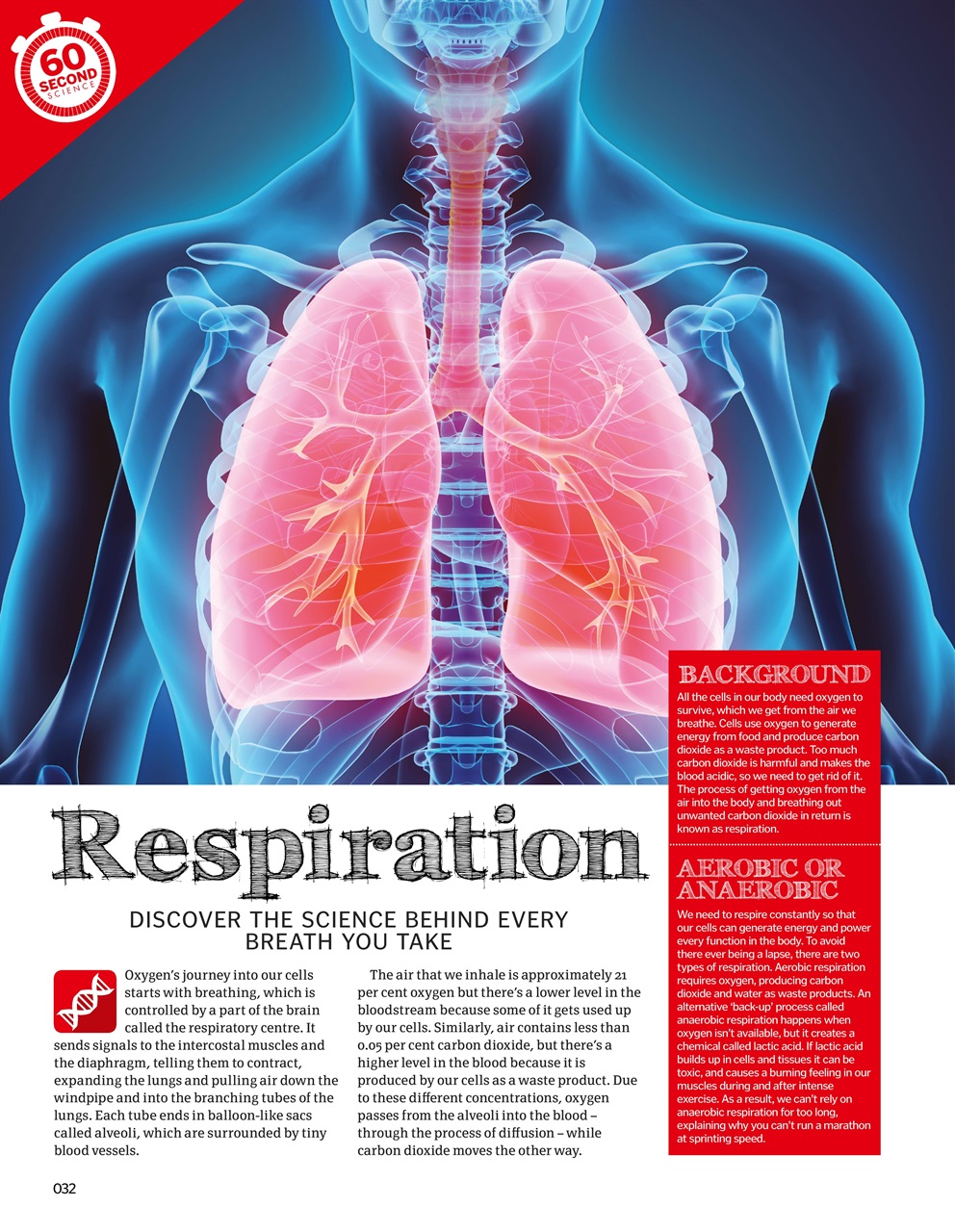 How It Works Bookazine Preview Pages