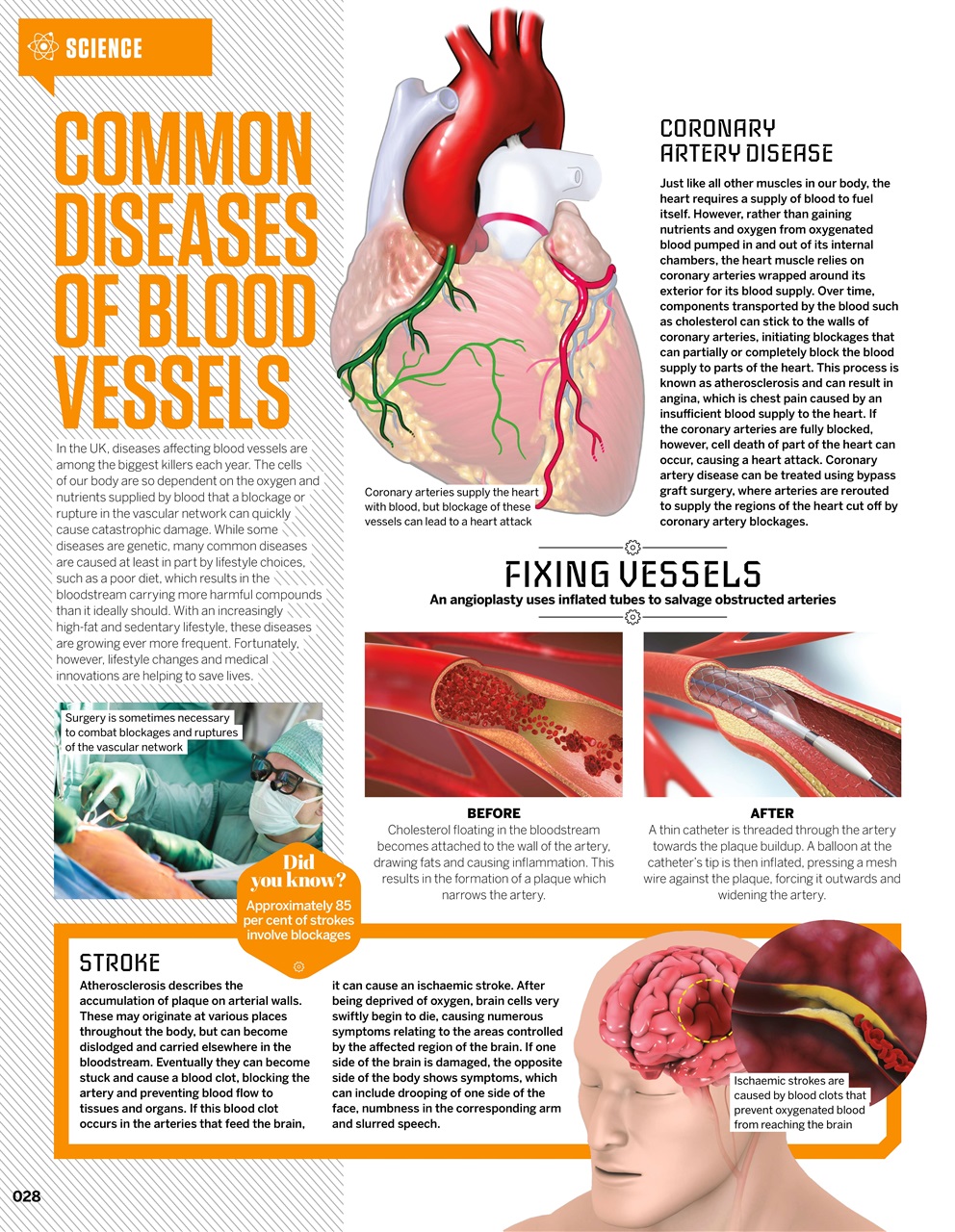 How It Works Bookazine Preview Pages