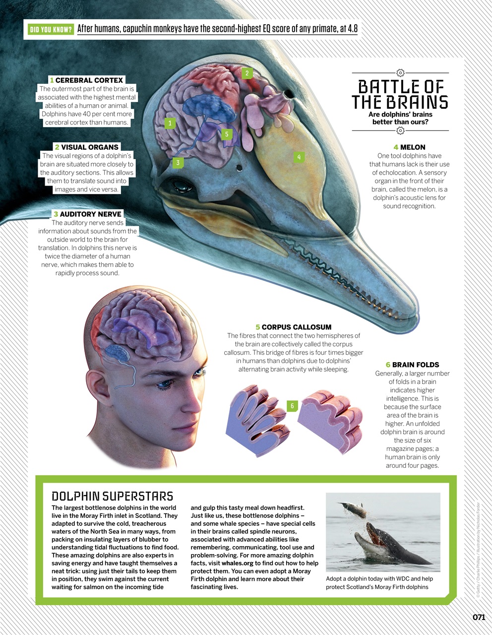 How It Works Bookazine Preview Pages