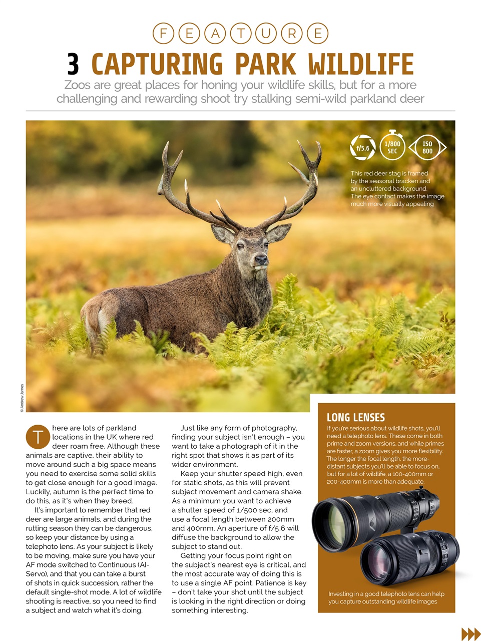 Photography Week Preview Pages