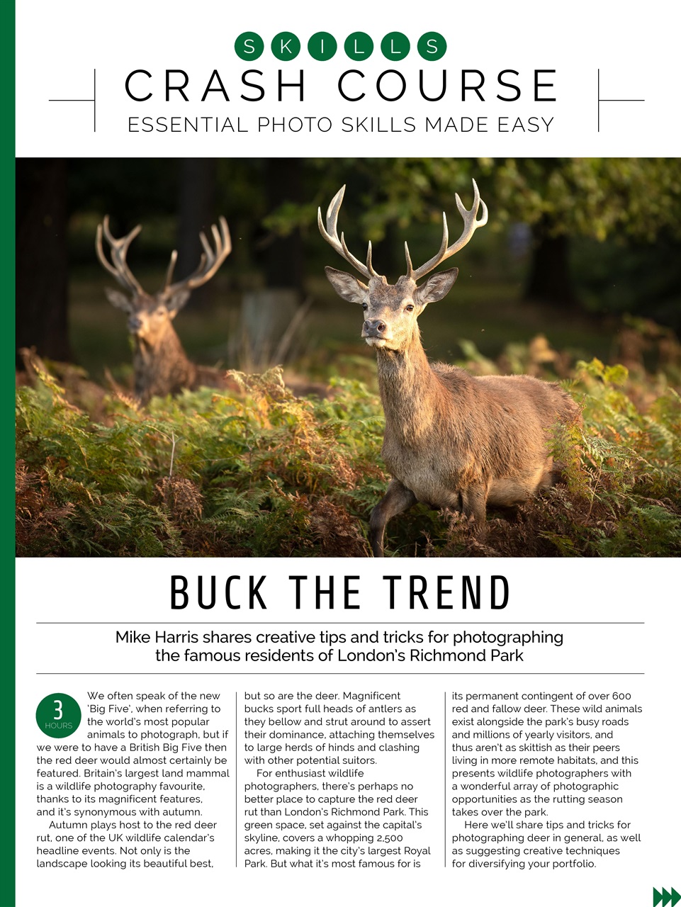 Photography Week Preview Pages