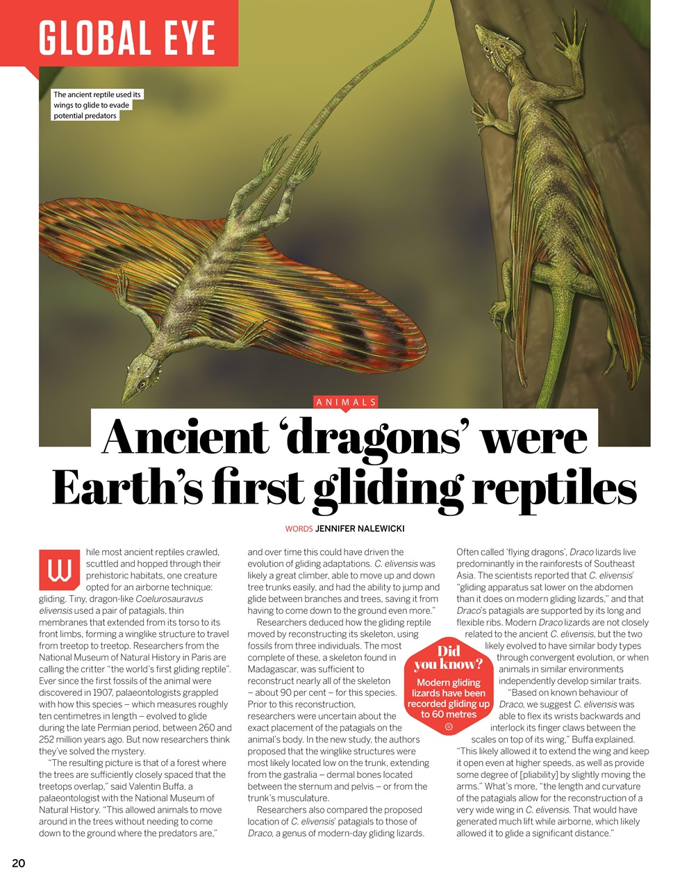 How It Works Preview Pages