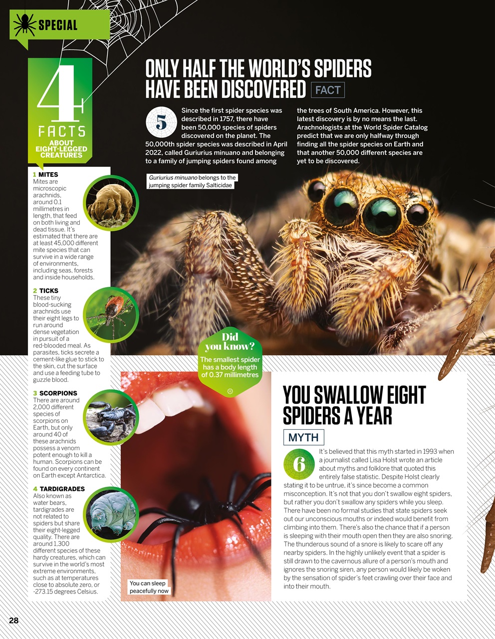 How It Works Preview Pages