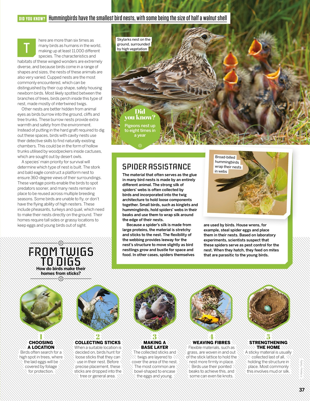 How It Works Preview Pages