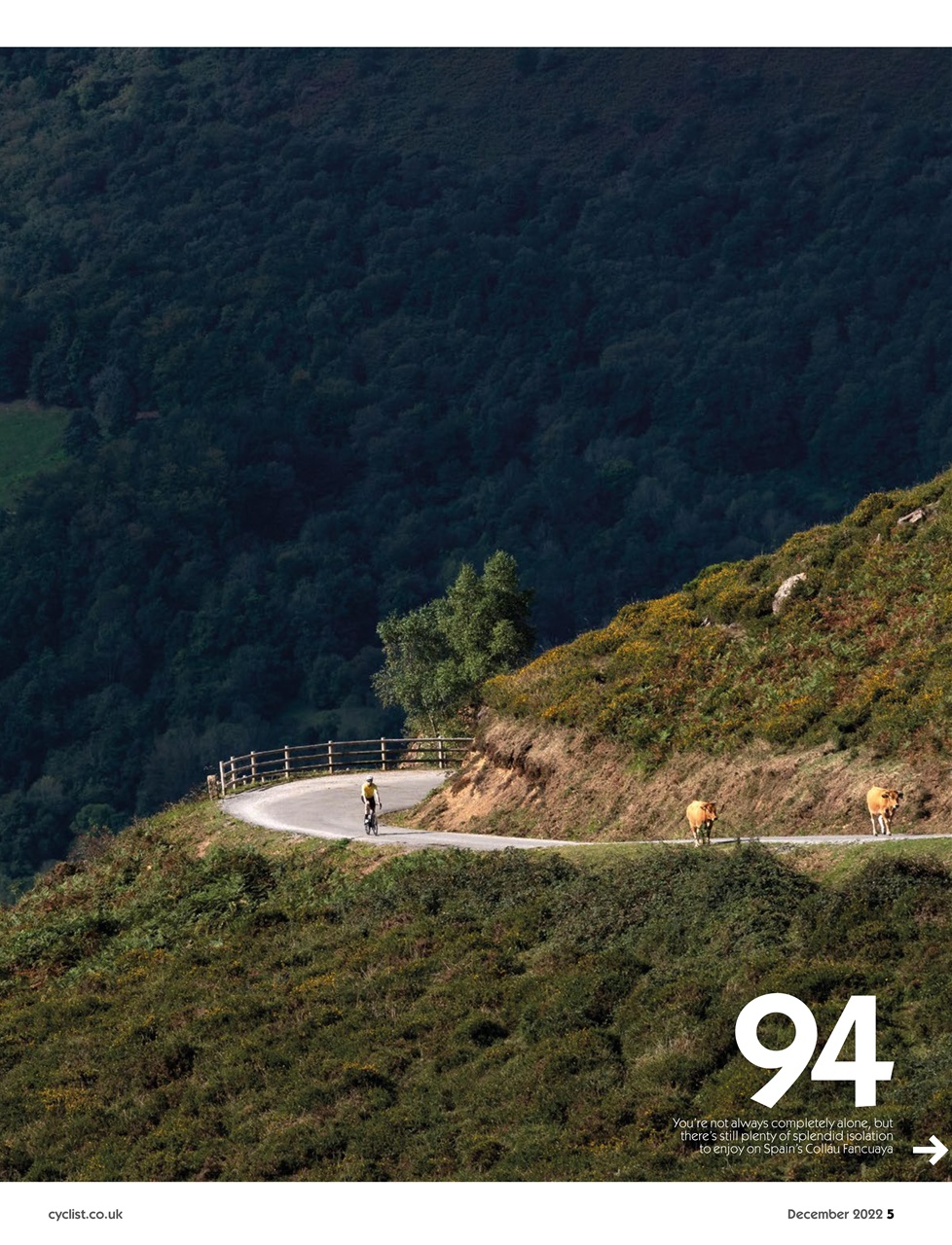 Cyclist Preview Pages