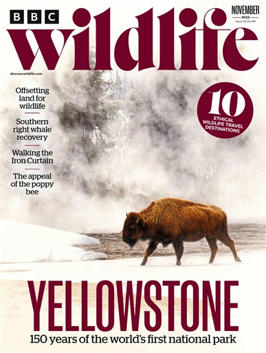 BBC Wildlife Magazine issue 