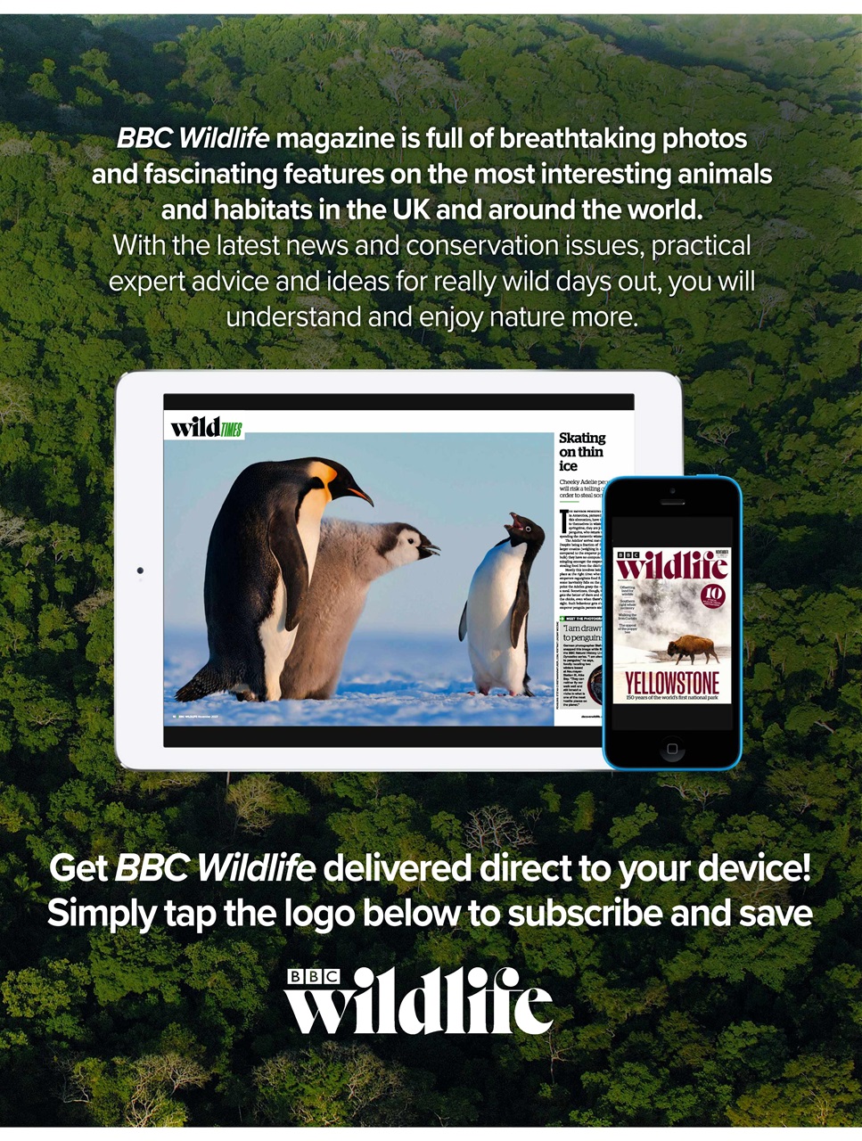 BBC Wildlife Magazine Preview Pages