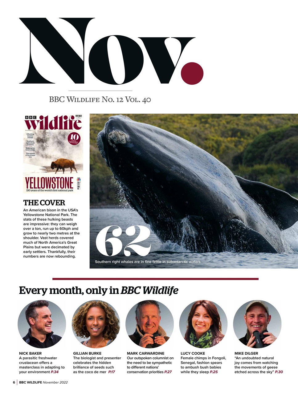 BBC Wildlife Magazine Preview Pages