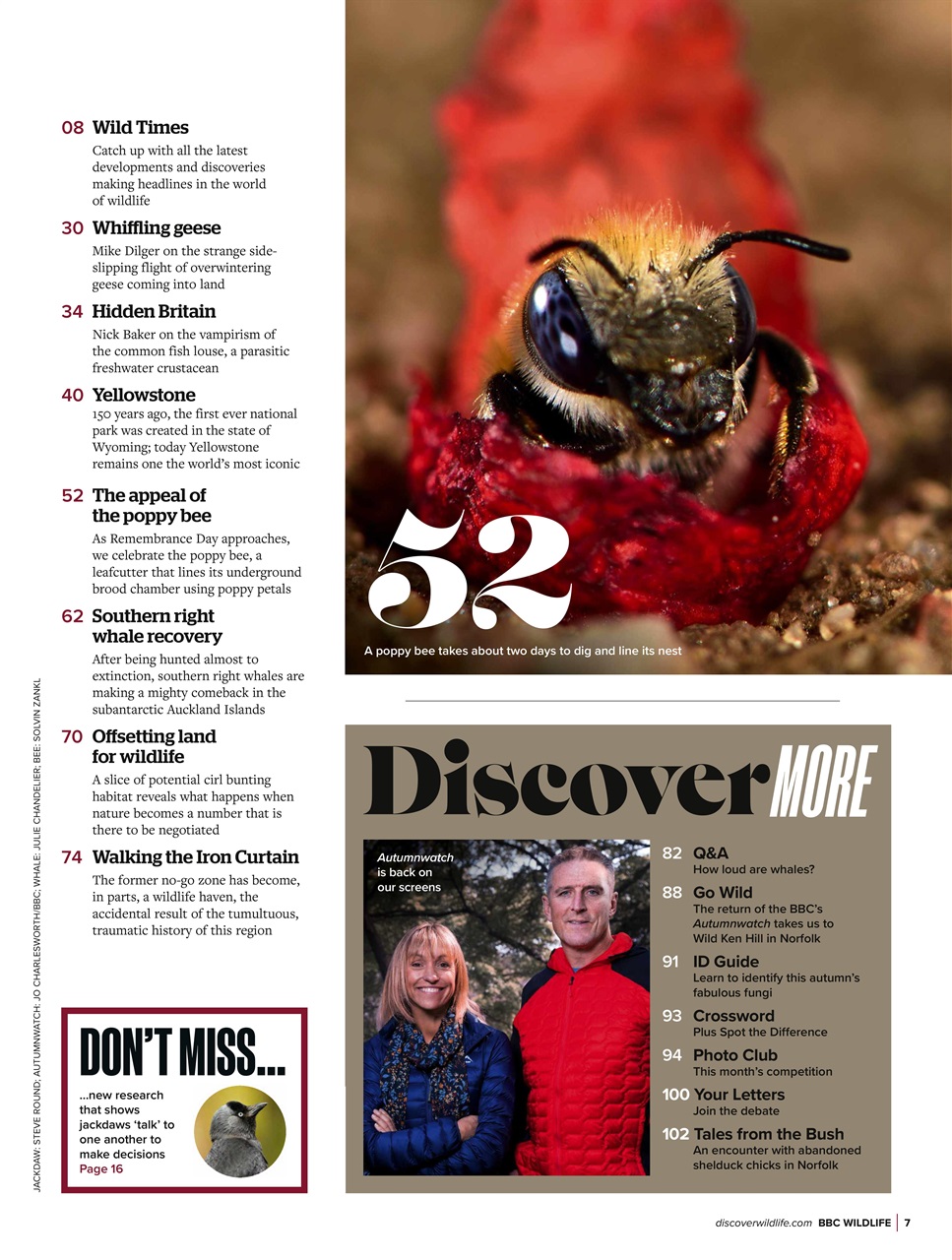 BBC Wildlife Magazine Preview Pages