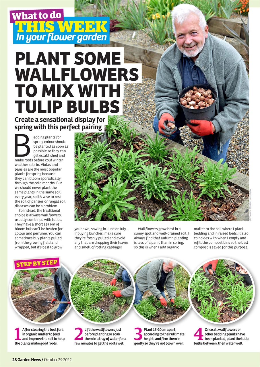Garden News Preview Pages