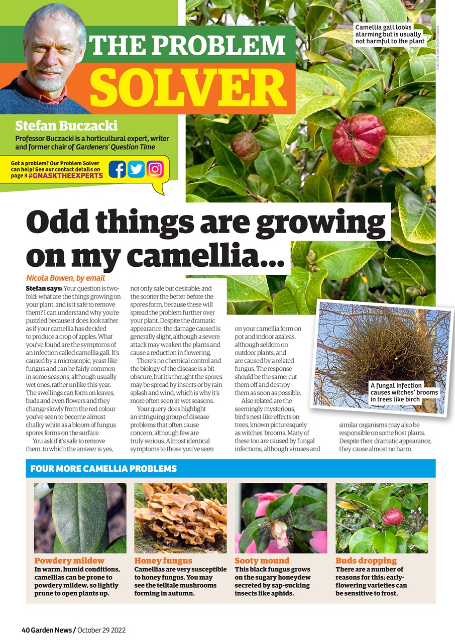 Garden News Preview Pages